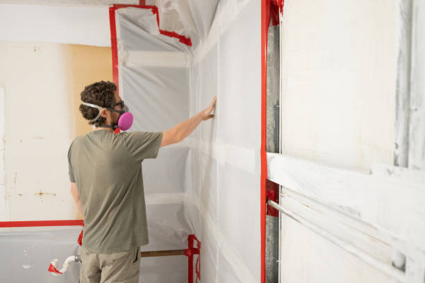 Best Mold Odor Removal Services  in Coleraine, MN