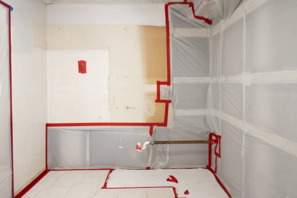 Best Comprehensive Air Testing for Mold Contaminants  in Coleraine, MN