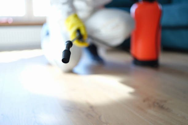 Best Biohazard Mold Removal  in Coleraine, MN