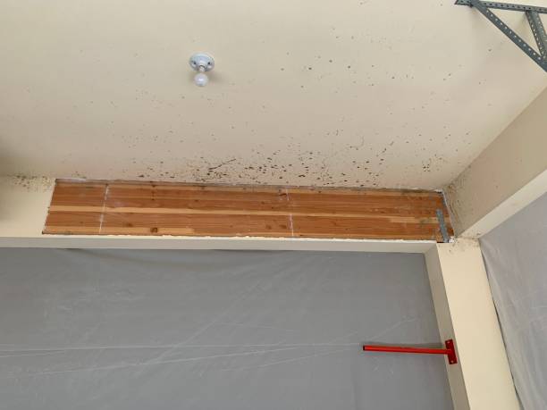 Best Indoor Air Quality Assessment  in Coleraine, MN