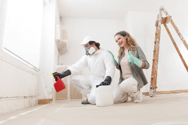 Best Emergency Mold Remediation  in Coleraine, MN