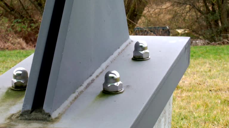 Best Forensic Mold Investigation  in Coleraine, MN
